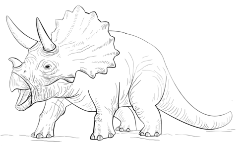 Triceratop Dinosaur Coloring Page